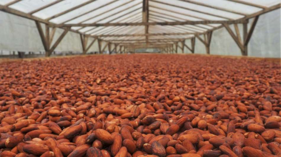 Gro&szlig;teil der Kakaobauern lebt laut Verein mit Familien weiter in Armut