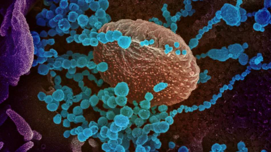 EU aktiviert wegen Coronavirus Krisenmodus
