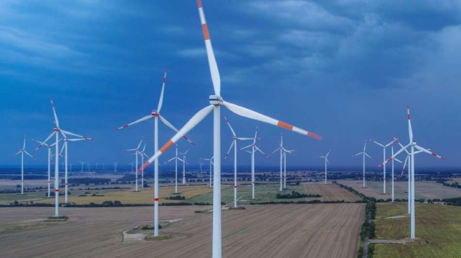Baerbock fordert von Merkel Regierungserklärung zum Klimaschutz
