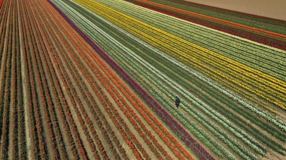 Klöckner fordert Bundesländer zu Gesetzesverschärfung gegen Bodenspekulation auf