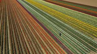 Klöckner fordert Bundesländer zu Gesetzesverschärfung gegen Bodenspekulation auf