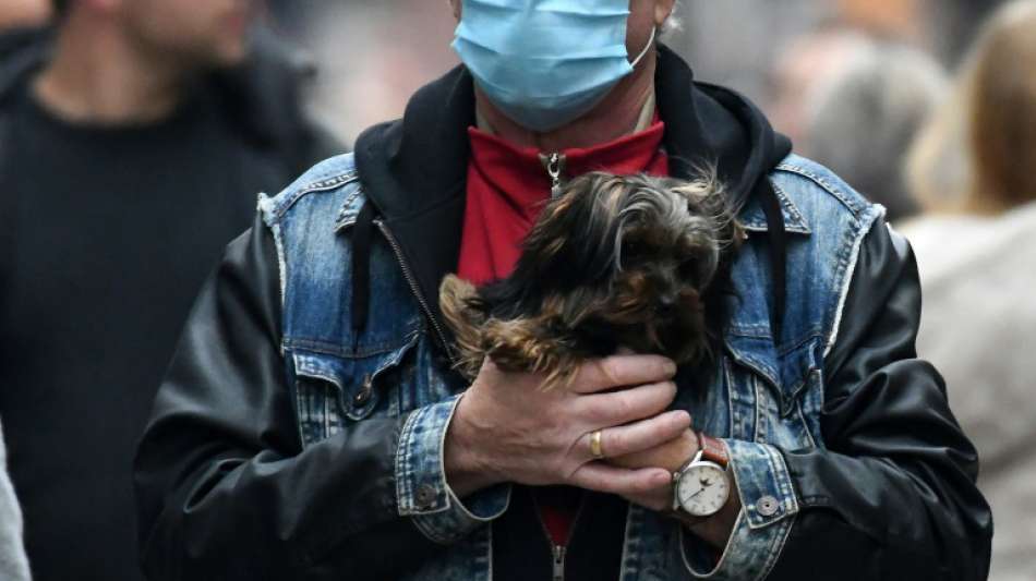 Tierschutzbund: Viele Tierheime kämpfen in der Pandemie um ihre Existenz