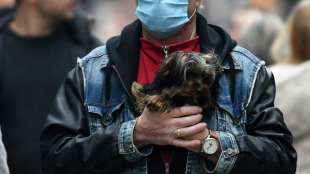 Tierschutzbund: Viele Tierheime kämpfen in der Pandemie um ihre Existenz