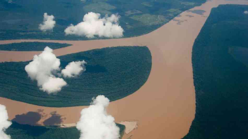 60 Millionen Hektar brasilianischer Regenwald stehen unter Schutz