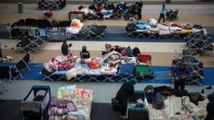 Seit 2015 deutlich mehr Schutzsuchende in Deutschland geboren