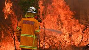 Behörden warnen vor "katastrophaler" Brandgefahr für Sydney