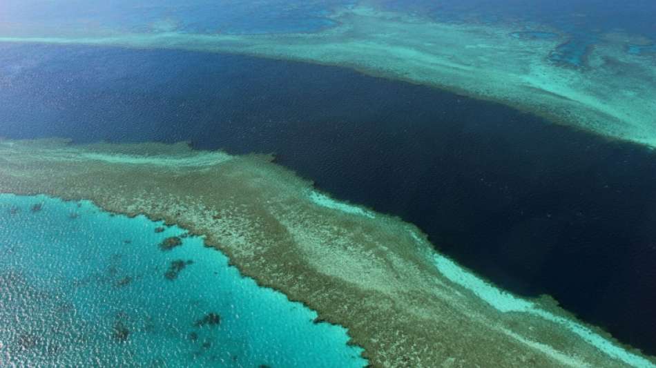 Australien verhindert Einstufung des Great Barrier Reef als gef&auml;hrdetes Welterbe