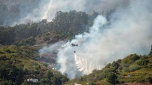 Experten stufen Waldbrand auf Gran Canaria als "Umwelt-Tragödie" ein