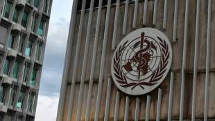 Experten: Corona-Pandemie zeigt Machtlosigkeit und Unterfinanzierung der WHO