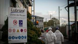 Luftqualität in Rouen nach Großbrand in Chemiewerk wie "gewöhnlich"