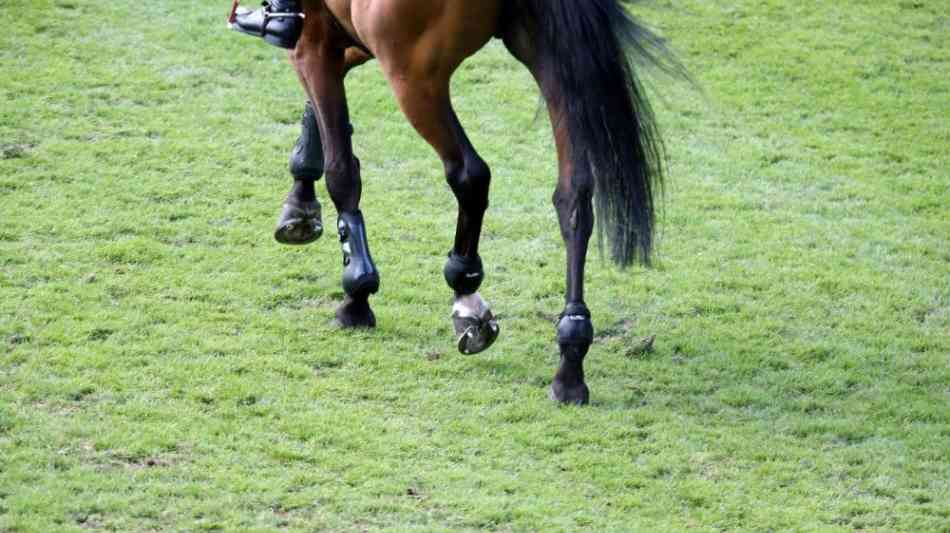 Galopp: Guignol und Iquitos im Japan Cup absolut chancenlos