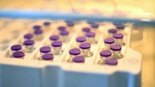 Bericht: Verfassungsschutz beobachtet Angriffe Nordkoreas auf Impfstofffirmen