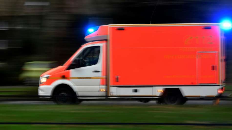 Neunjähriges Mädchen in Rheinland-Pfalz durch Hundebisse schwer verletzt