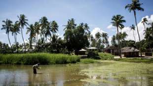Dutzende Tote bei Angriff von Dschihadisten auf Küstenstadt in Mosambik