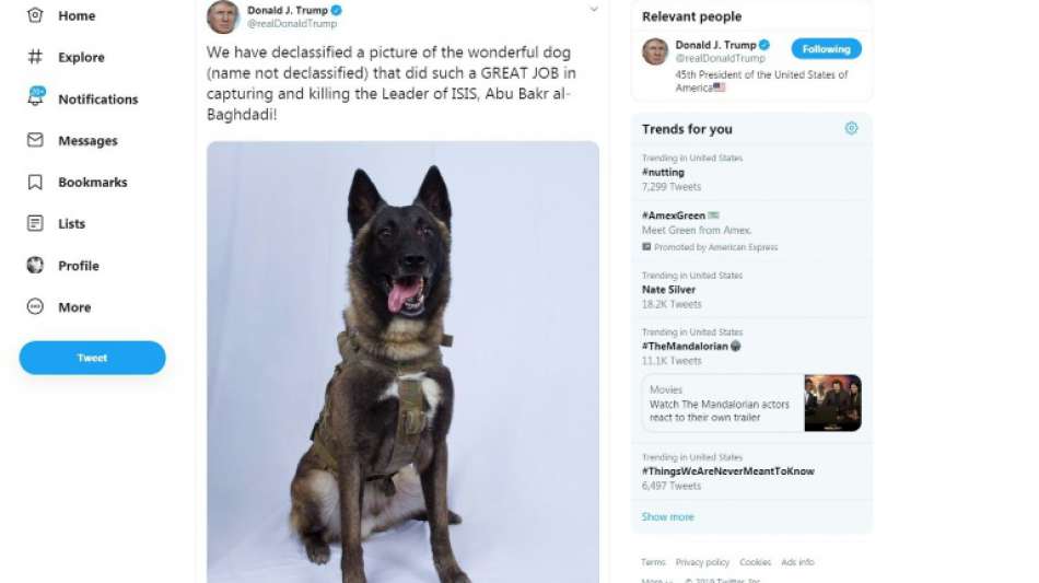 Trump will bei Einsatz gegen IS-Chef verletzten Hund empfangen