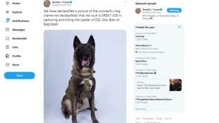 Trump will bei Einsatz gegen IS-Chef verletzten Hund empfangen 