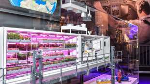 Deutsches Weltraum-Gewächshaus soll Obst und Gemüse für Astronauten liefern