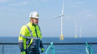 Johnson h&auml;lt Energieversorgung mit Erneuerbaren bis 2035 f&uuml;r m&ouml;glich