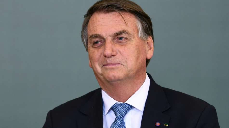 Umweltorganisation verklagt Bolsonaro vor IStGH wegen Amazonas-Abholzung