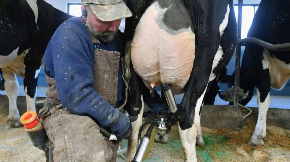 Bauern fordern von neuer Regierung Weichenstellung für moderne Landwirtschaft