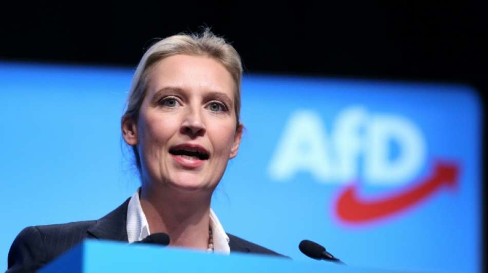 Weidel bietet Kandidatur für AfD-Landesvorsitz in Baden-Württemberg an