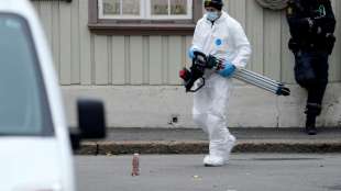 Ermittler stufen Bogenangriff in Norwegen als mutma&szlig;lichen "Terrorakt" ein