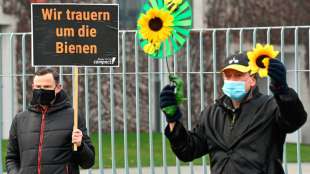 Umweltschützer fordern von Regierung Tempo beim Insektenschutz