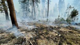 Riesiger Waldbrand im US-Bundesstaat Oregon breitet sich erneut aus