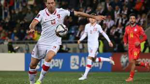 Polen, Tschechien - Schweden: Kein WM-Play-offs in Russland