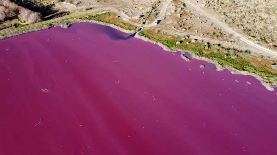 Industriechemikalien färben Lagune in Argentinien pink 