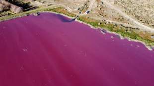 Industriechemikalien f&auml;rben Lagune in Argentinien pink 