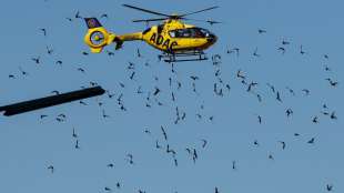 ADAC spart in der Corona-Pandemie - Beiträge sollen stabil bleiben 