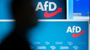 AfD l&ouml;st "Arbeitsgruppe Verfassungsschutz" auf