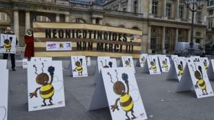Eine Million Unterschriften f&uuml;r europ&auml;ische Bienenschutz-Initiative