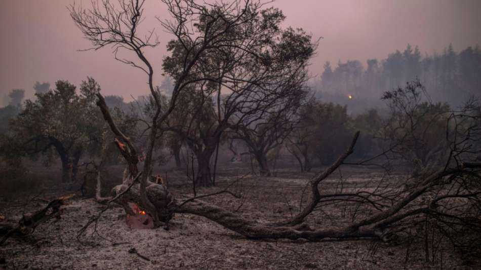Kleinstadt Istiea auf griechischer Insel Euböa von Waldbrand bedroht
