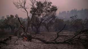 Kleinstadt Istiea auf griechischer Insel Euböa von Waldbrand bedroht
