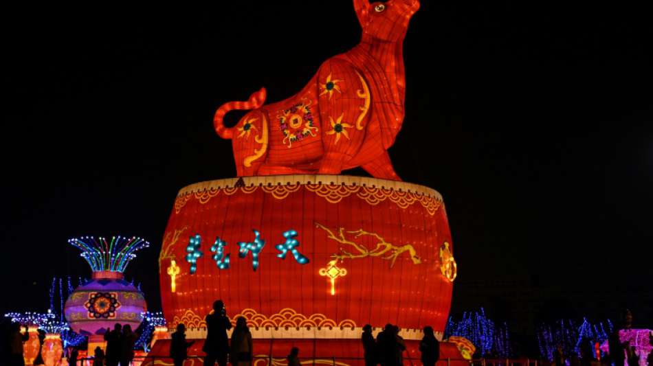 Chinesen feiern Beginn eines neuen Mondjahres im Zeichen des B&uuml;ffels