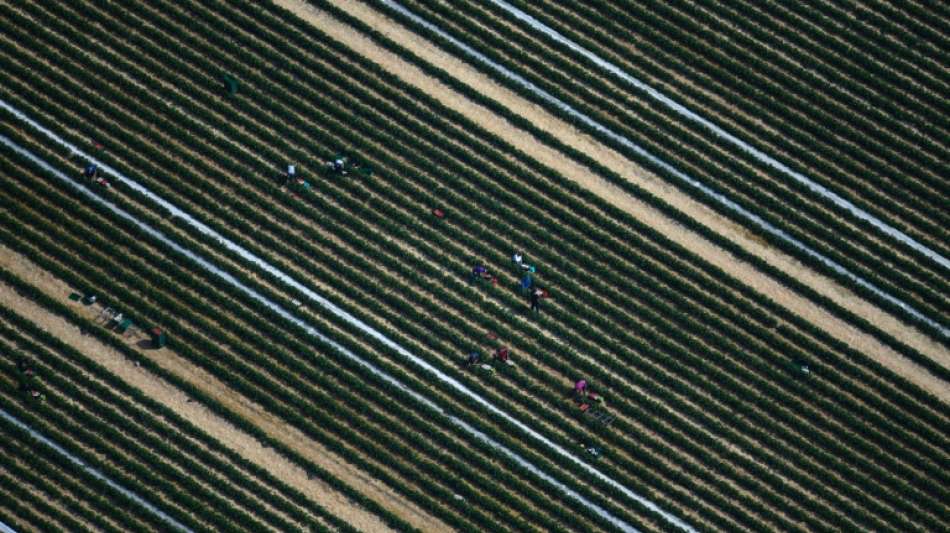 Scholz, Heil und DGB wollen Ausbeutung ausländischer Arbeitskräfte eindämmen
