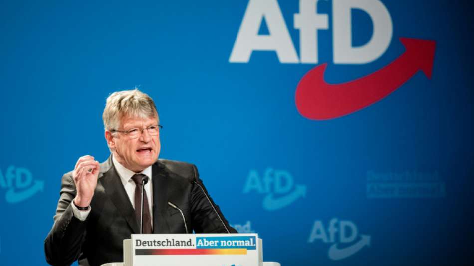 AfD setzt Parteitag mit Beratungen über Wahlprogramm fort