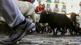 Stier tötet Mann bei Stierhatz in Spanien