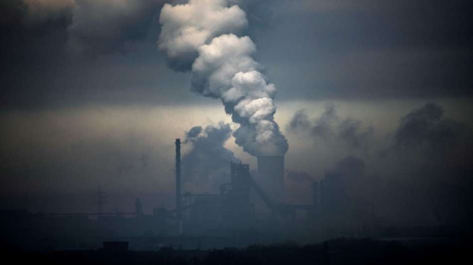 Ministerin Schulze wirft Union Blockadementalität beim Klimaschutz vor
