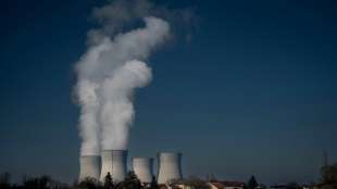 Atomkraftgegner fordern von Berlin Einspruch gegen franz&ouml;sisch-russisches Joint Venture