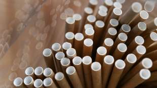 Auch alternative Einwegprodukte enthalten Schadstoffe