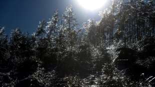 Bericht: Interesse am Jagdschein w&auml;chst deutlich