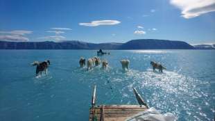 Forscher: Klimawandel gefährdet archäologisches Erbe in Grönland 
