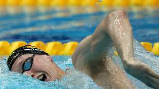 Wellbrock schwimmt zu Weljahresbestzeit über 1500 m