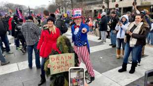 Demonstranten versammeln sich in Washington gegen Zertifizierung von Bidens Wahlsieg