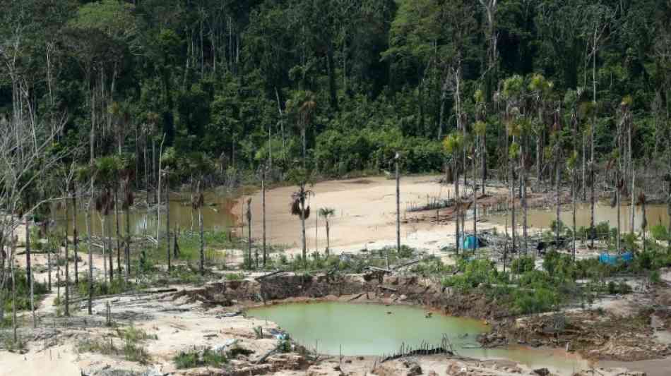 Peru schickt Soldaten in den Kampf gegen illegale Goldgräber am Amazonas