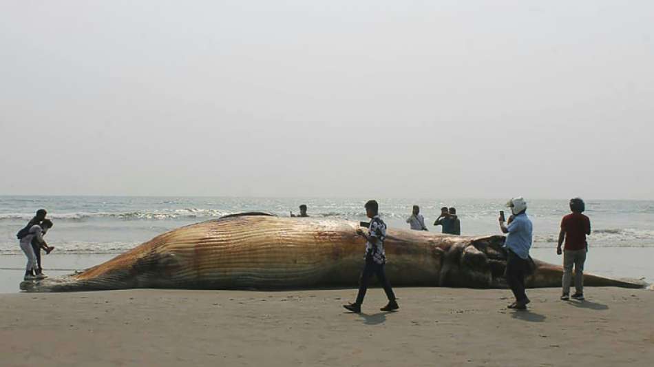 Zwei tote Wale an Küste Bangladeschs angespült