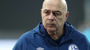 Medien: Spieler-Revolte auf Schalke gegen Gross